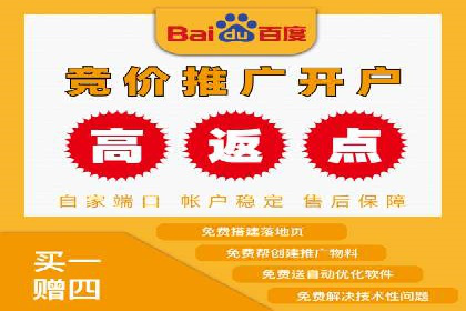 探索百度竞价广告的未来趋势：基于多案例的分析